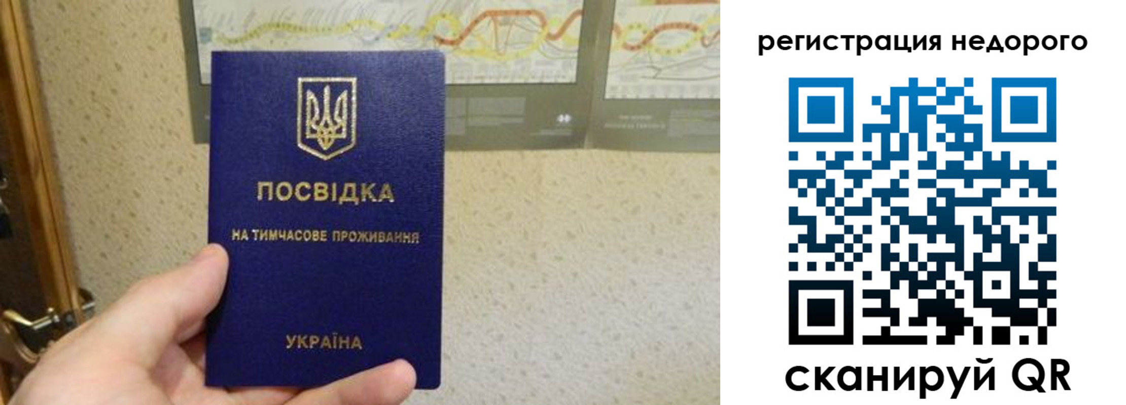 прописка для работы в Шарье